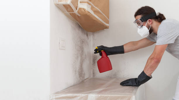 Professional Attic Mold Removal technician working in Rhodelia, KY