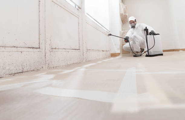 24/7 Emergency Attic Mold Removal experts in Rhodelia, KY